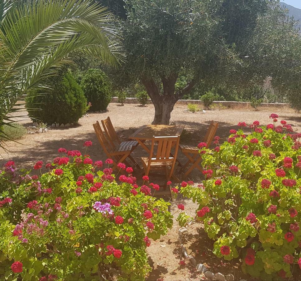 Tilos Fantasy Livadia  Bagian luar foto